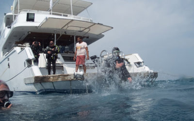 Vom Divemaster zum PADI Instructor