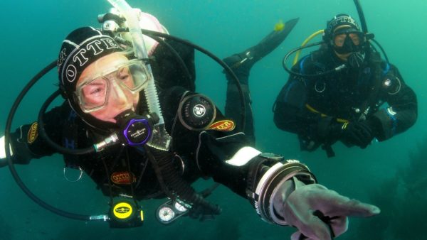 eLearning PADI Dry Suit Diver